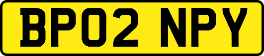 BP02NPY