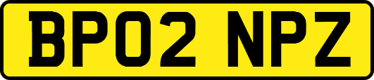 BP02NPZ