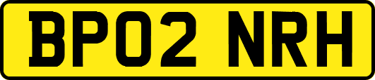 BP02NRH