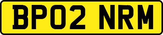 BP02NRM