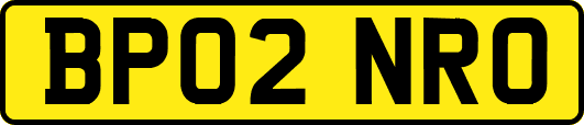 BP02NRO