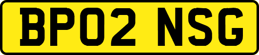BP02NSG