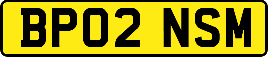BP02NSM