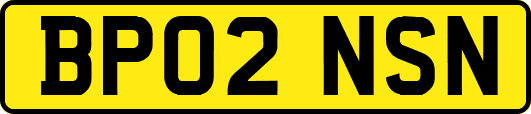 BP02NSN
