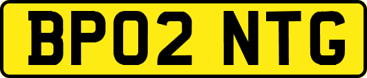 BP02NTG