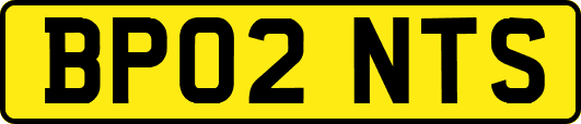 BP02NTS