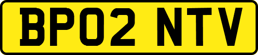 BP02NTV