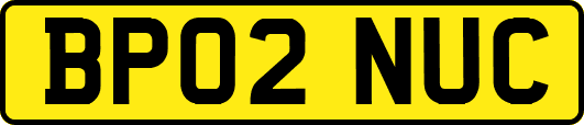 BP02NUC