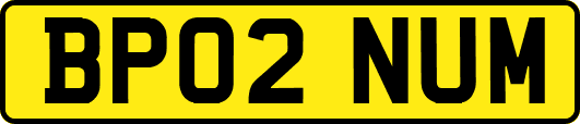 BP02NUM