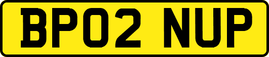 BP02NUP