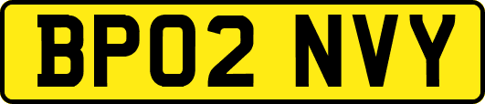 BP02NVY
