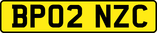 BP02NZC