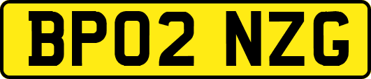 BP02NZG