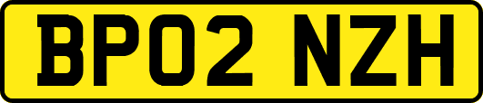 BP02NZH