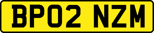 BP02NZM