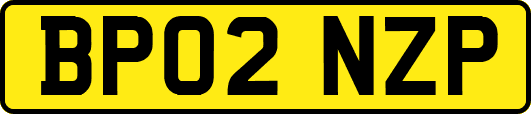 BP02NZP