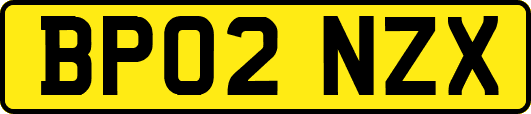 BP02NZX