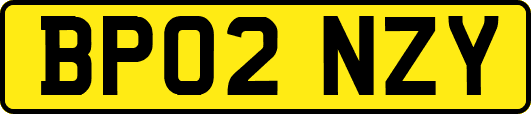 BP02NZY