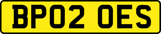 BP02OES