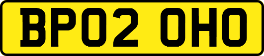 BP02OHO