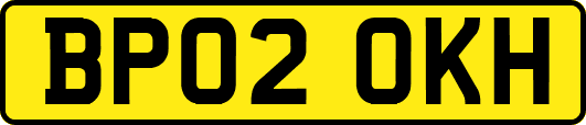 BP02OKH