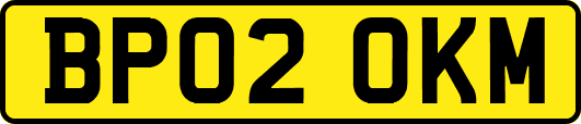 BP02OKM