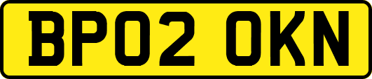 BP02OKN
