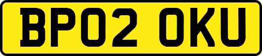 BP02OKU