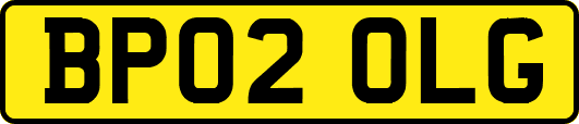 BP02OLG