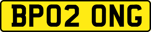 BP02ONG