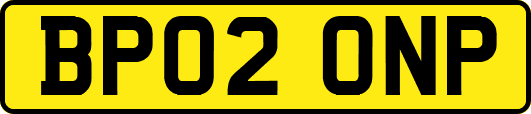 BP02ONP