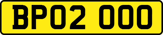 BP02OOO