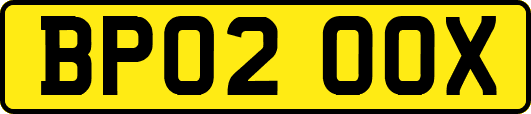 BP02OOX