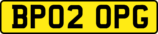BP02OPG