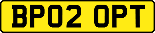 BP02OPT
