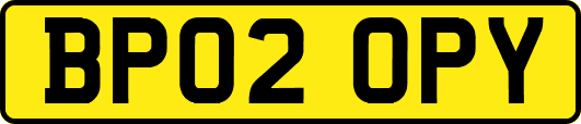 BP02OPY