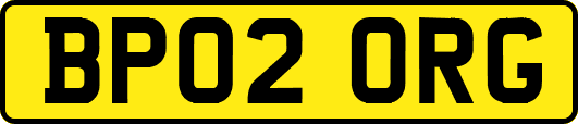 BP02ORG