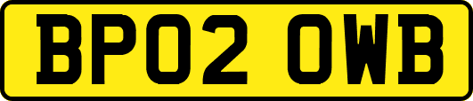 BP02OWB