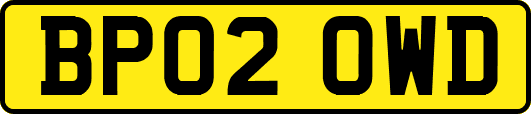 BP02OWD