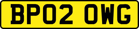 BP02OWG