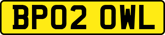 BP02OWL
