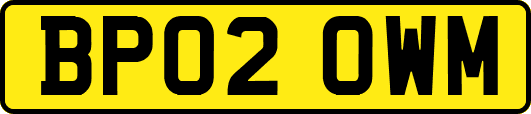 BP02OWM