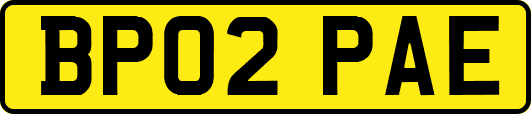 BP02PAE