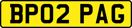 BP02PAG
