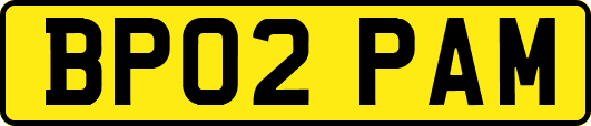 BP02PAM