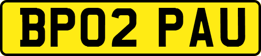 BP02PAU