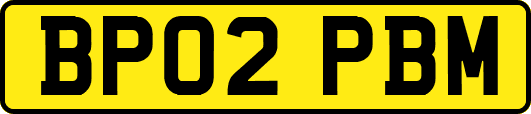 BP02PBM