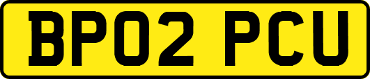 BP02PCU