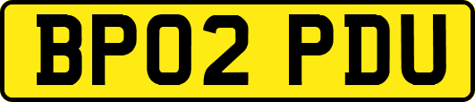 BP02PDU