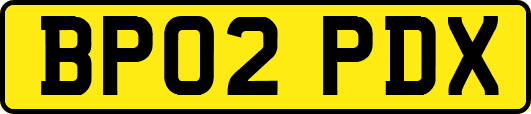 BP02PDX